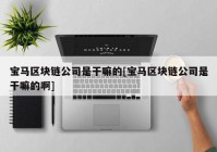 宝马区块链公司是干嘛的[宝马区块链公司是干嘛的啊]