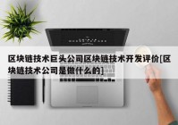 区块链技术巨头公司区块链技术开发评价[区块链技术公司是做什么的]