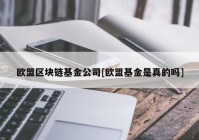 欧盟区块链基金公司[欧盟基金是真的吗]